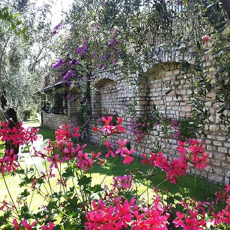 Margherita Hotel